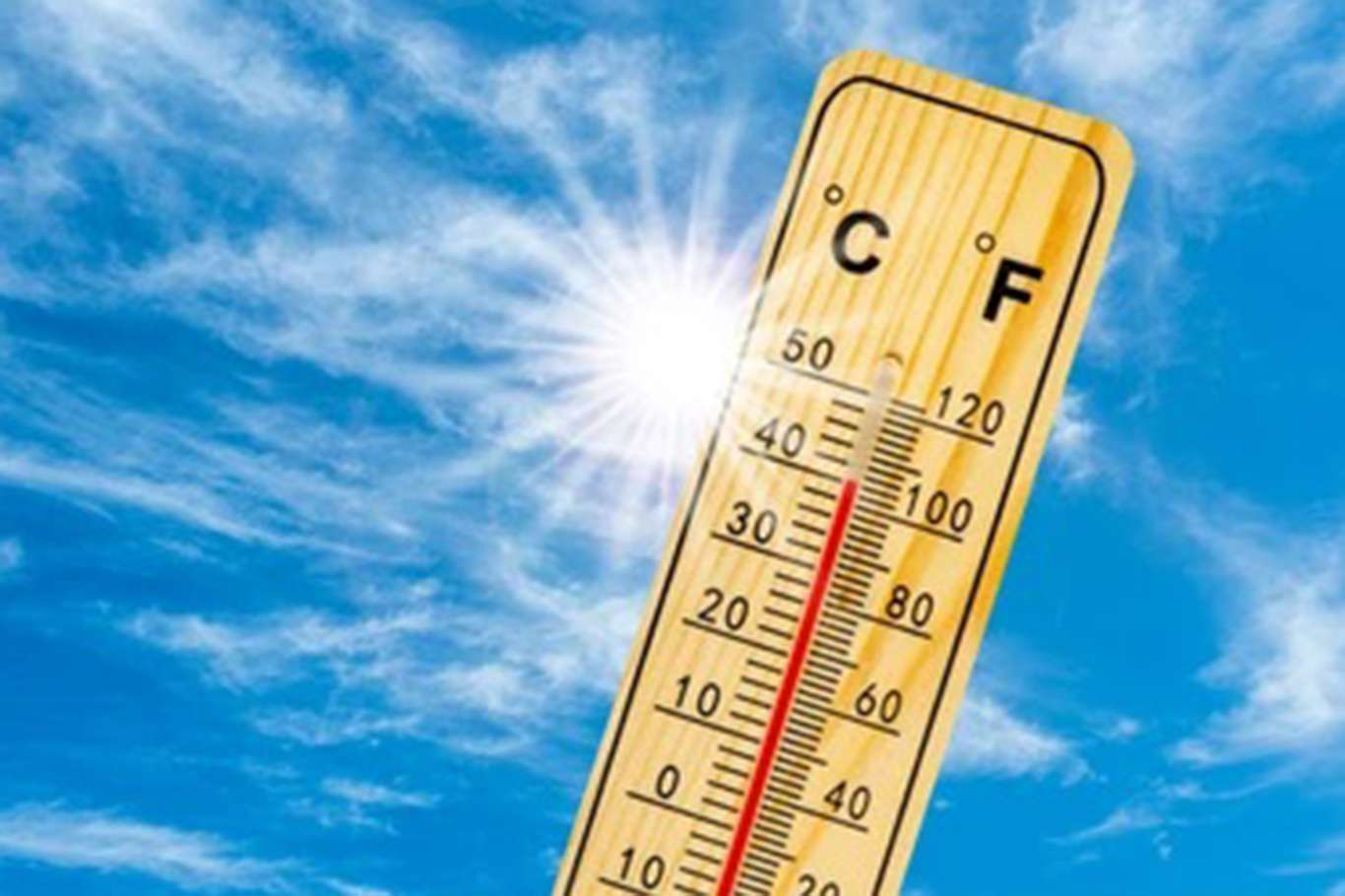Almanya'da sıcak hava dalgası hayatı olumsuz etkiliyor
